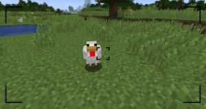 Camera Mod 1.15.1